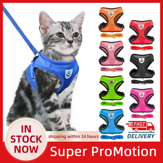 Harness Vest Walking Lead Leash